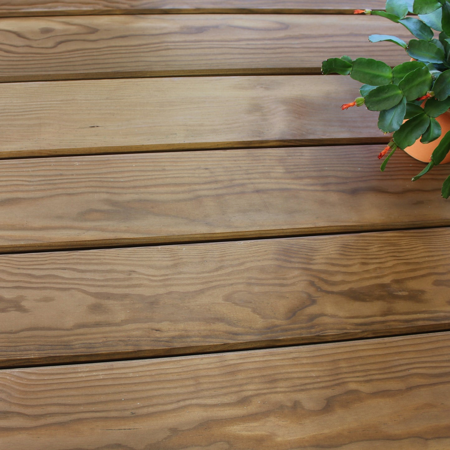 Lame Terrasse Pin Maritime 27x145x2400 mm Classe 4 Brun