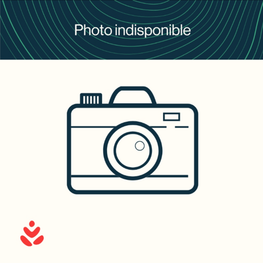 Produit en pin maritime pour aménagement intérieur de votre maison