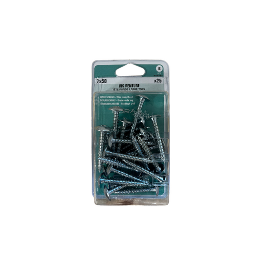 Vis Peinture Torx 7x50 mm Boite de 25 pièces